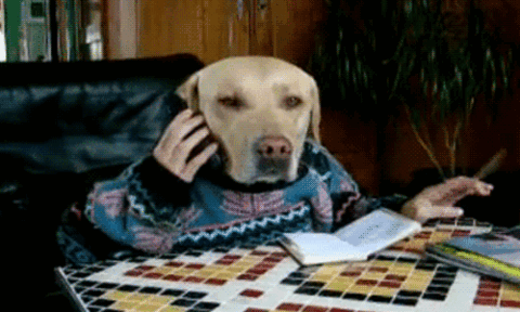 Better calls.